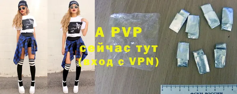 A PVP СК  Чехов 